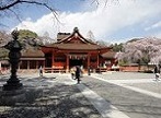 静岡県 神社仏閣 観光スポット・名所