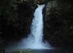 静岡県 滝(たき)観光スポット・名所